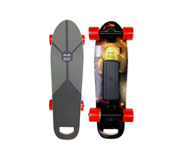 BUZZBOARDS B1