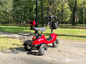 Электротрицикл TRION Partner NOVA PRO [без АКБ] - Фото 4
