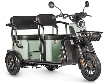 Электротрицикл Wanshida LC300 60V 1000Вт (зеленый)
